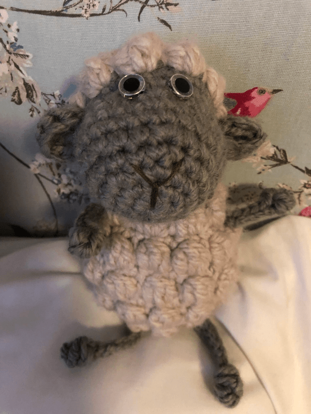 Sheep