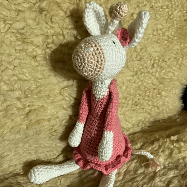 Giraffe in stock random 