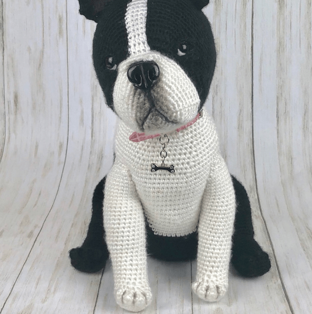 YOUR PET CUSTOM ODER
