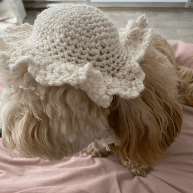 PET HAT CUSTOM ORDER