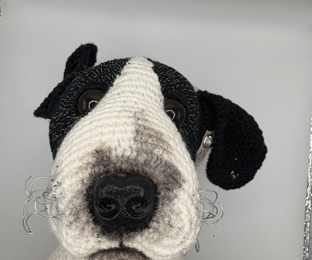 YOUR PET CUSTOM ODER