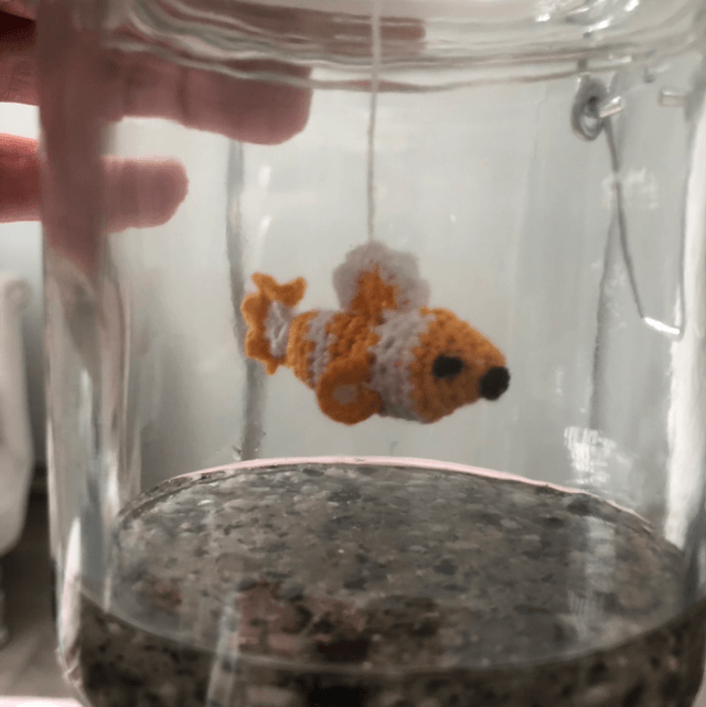 Pet Jar SMALL - Random 