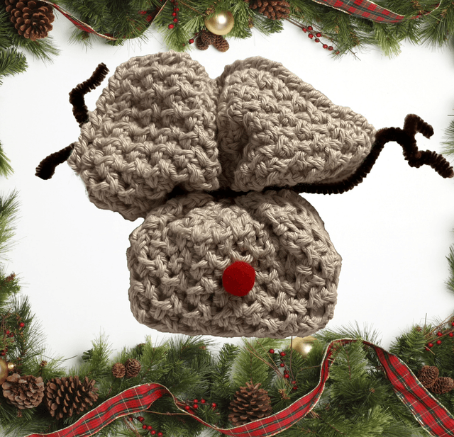 Christmas Reindeer Wash cloth and soap (Dove)