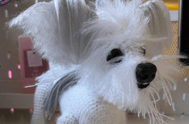 YOUR PET CUSTOM ODER