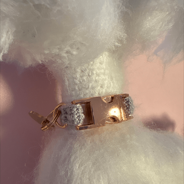 CAT/DOG/PET COLLAR CUSTOM ORDER