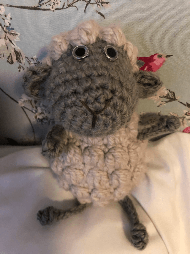 Sheep