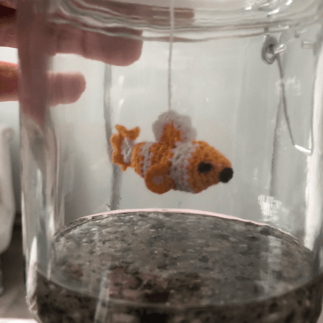 Pet Jar SMALL - Random 